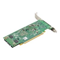 Quadro NVS 295 256MB DDR3 PCIe x16 Display Port 0X175K GPU Grafikkarte